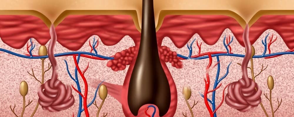 autophagy for loose skin