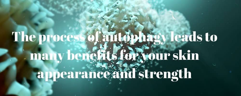 Autophagy for loose skin