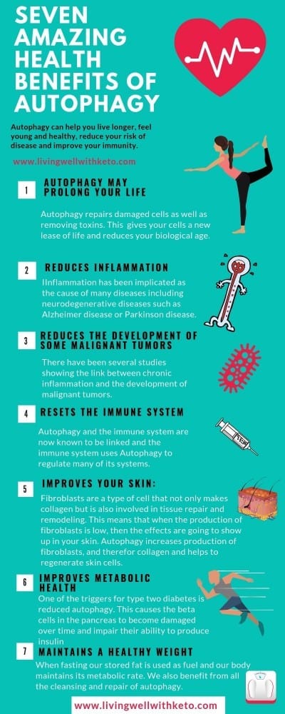 Seven amazing health benefits of autophagy