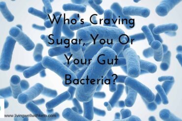 Who's craving sugar, you or your gut bacteria?