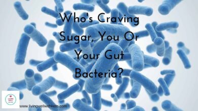 Who's craving sugar, you or your gut bacteria?