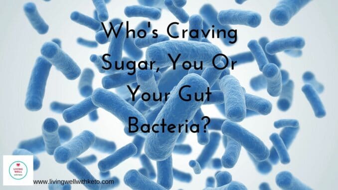 Who's Craving Sugar, You Or Your Gut Bacteria_ Who's craving sugar, you or your gut bacteria?