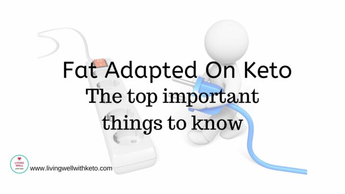 fat adapted on keto Fat adapted on keto (the top important things to know)