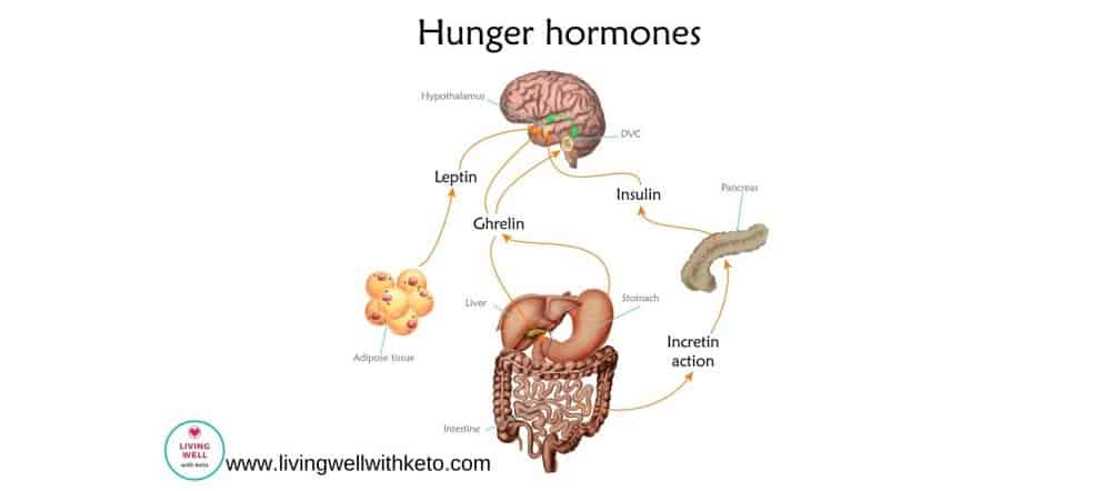 Fat adapted on keto (the top important things to know)