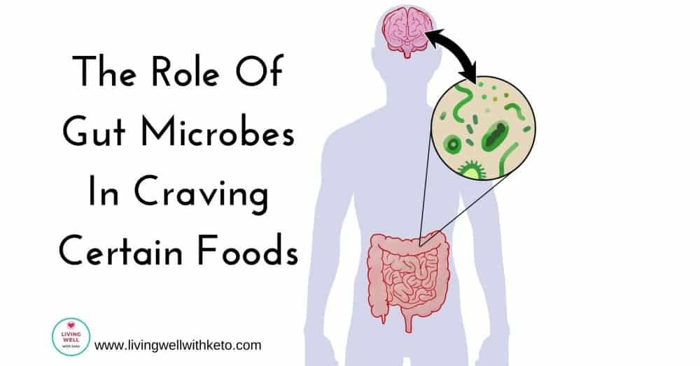 Sugar Craving : Gut Bacteria