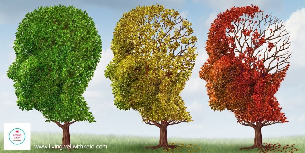 Alzheimer's Disease: Can it be cured?