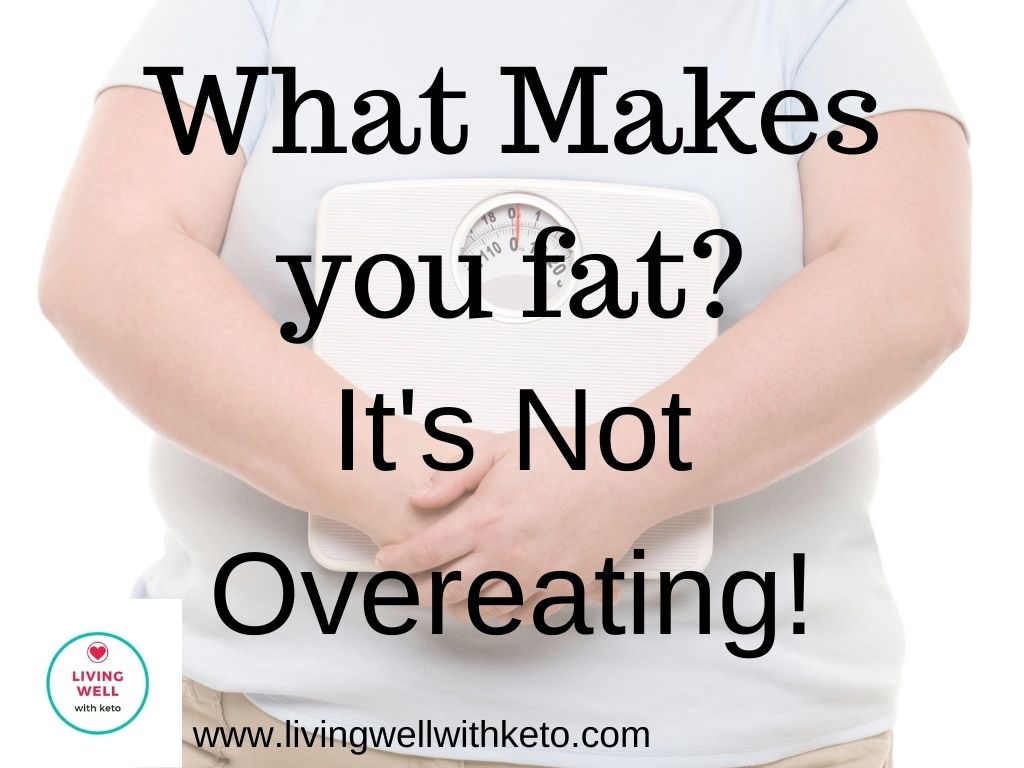 What makes you fat? It's not overeating